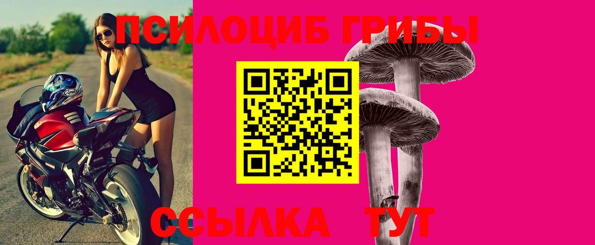 Псилоцибиновые грибы Psilocybine cubensis Лениногорск